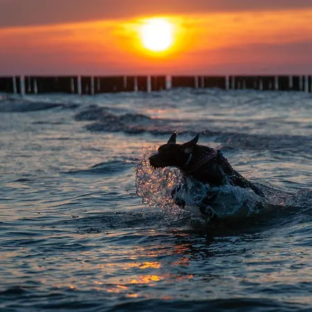 Sea View East Tower Porta Mare Apartament Dziwnówek