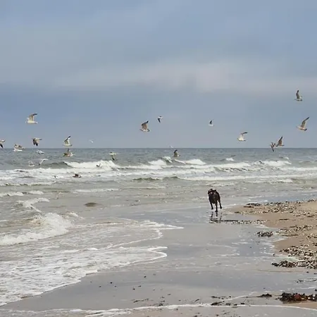 Sea View East Tower Porta Mare Apartament *